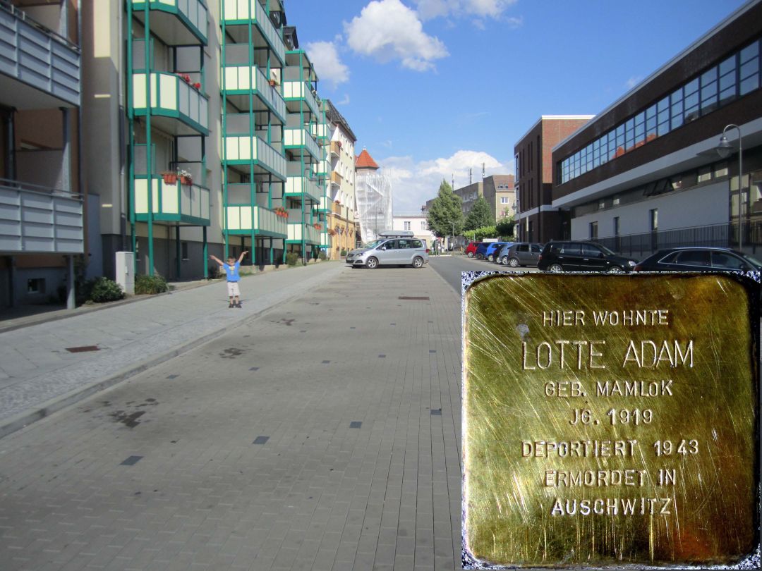 7. Stolperstein für Lotte Adam geb. Mamlock, mittig auf der Nordseite der Scharrnstraße. (Foto: Dr. M. Schulz, 25.07.2015)